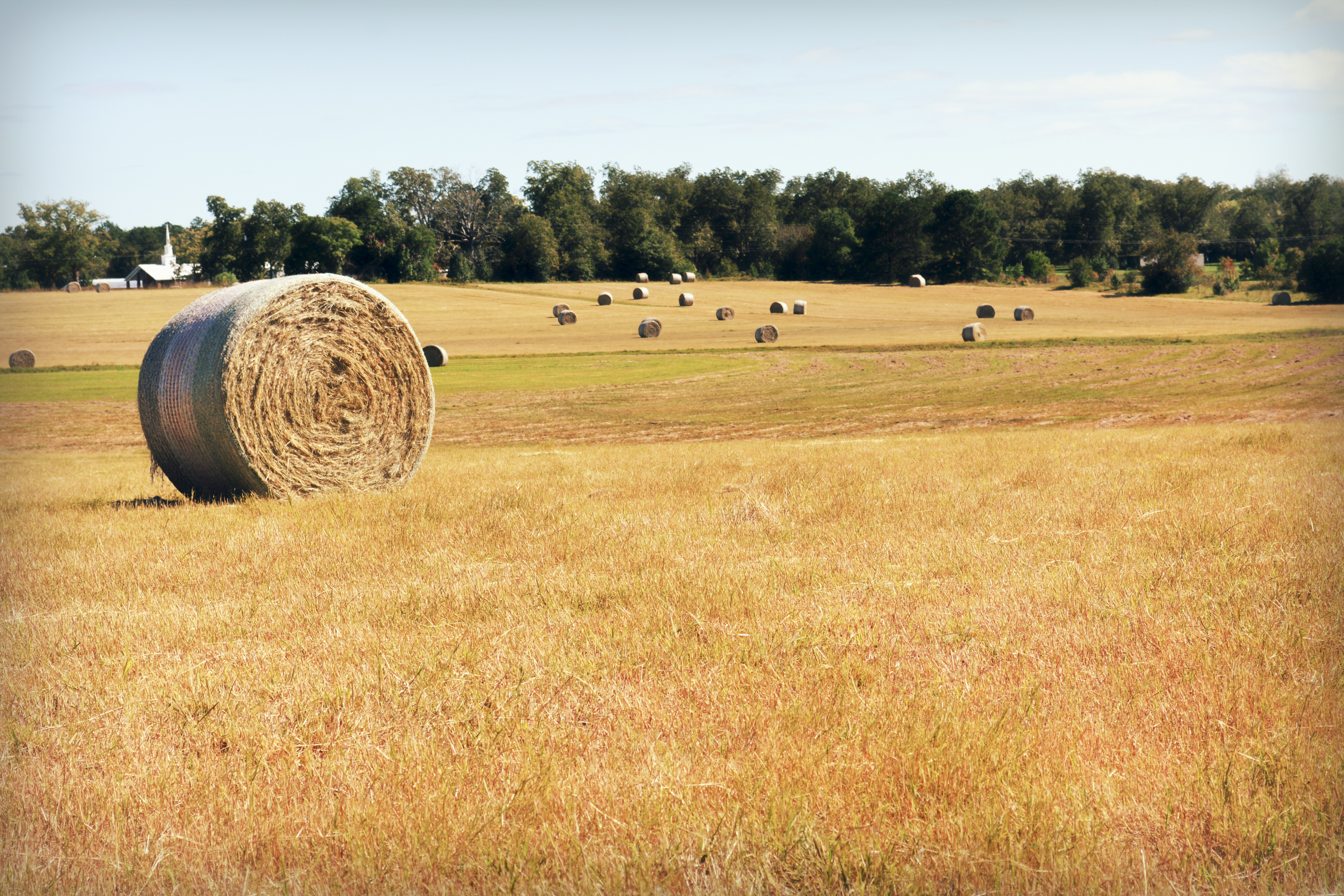 Evanđelje po Ivanu (48)